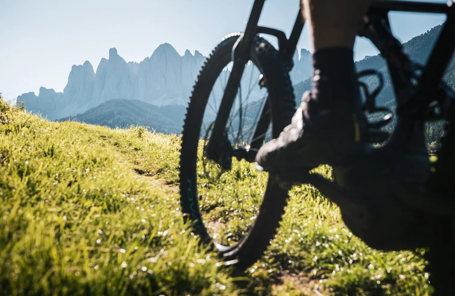 MTB-Hinterrad im Gegenlicht rahmt Geislerspitzen bei Sonnenaufgang auf saftig grüner Almwiese in Villnöß