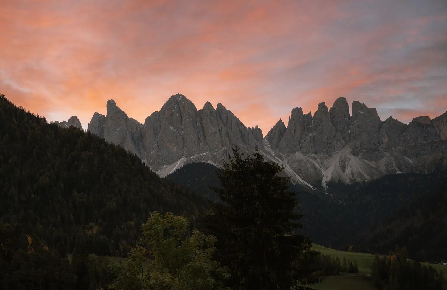 Geisler group Odles in alpenglow at sunset with autumnal larches, Villnöß Dolomites