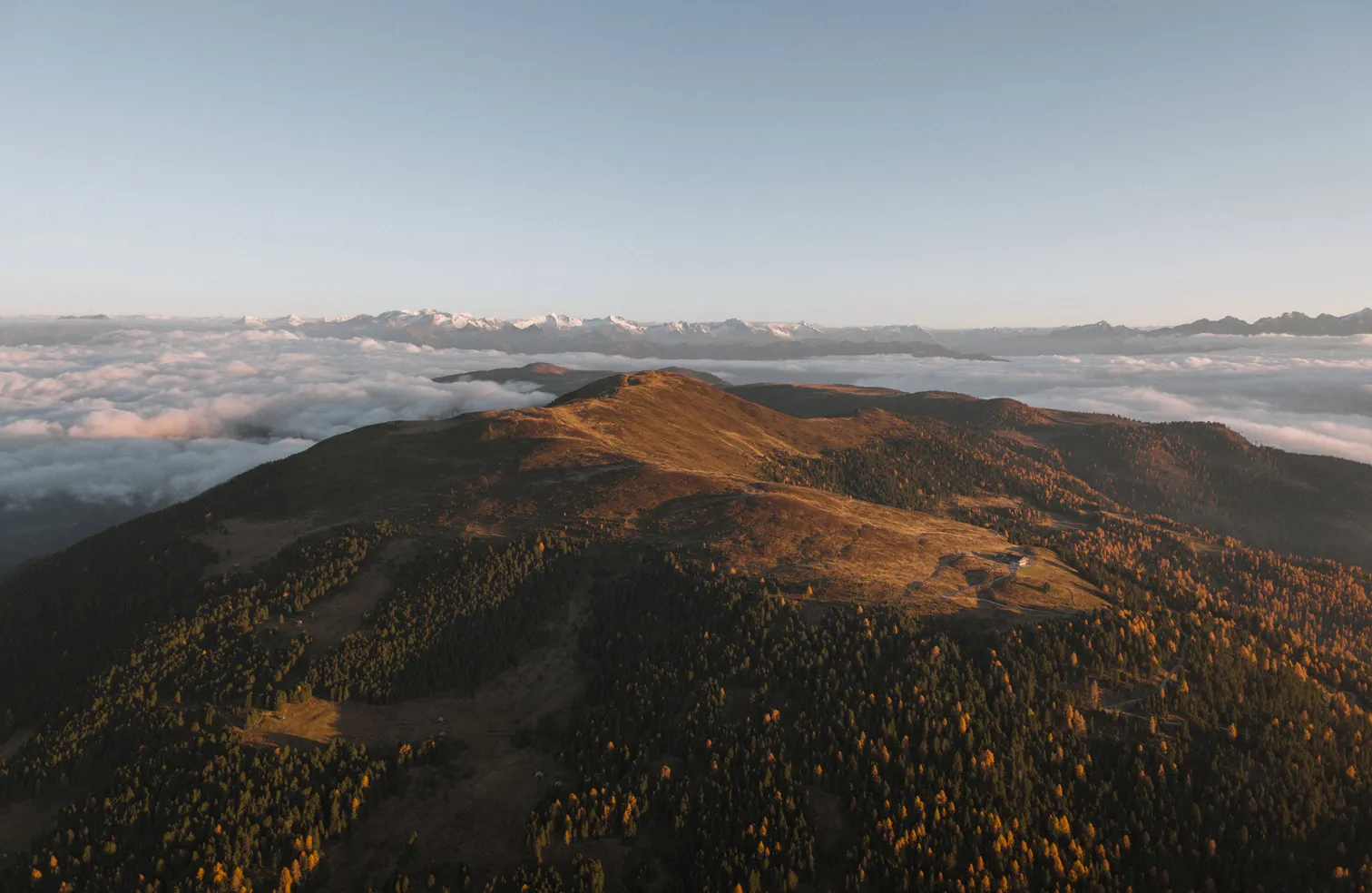 Drohnenaufnahme Lüsner Alm im Herbst mit goldenen Lärchen über dichtem Wolkenmeer und schneebedeckten Alpengipfeln am Horizont