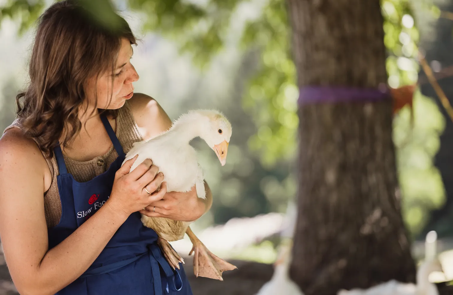 Bäuerin mit blauer Slow-Food-Schürze hält eine junge weiße Gans behutsam in den Händen