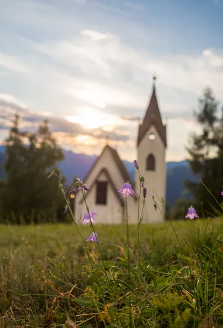 Huber chapel in hamlet Flitt near Luson with purple bellflowers on summer meadow at sunset