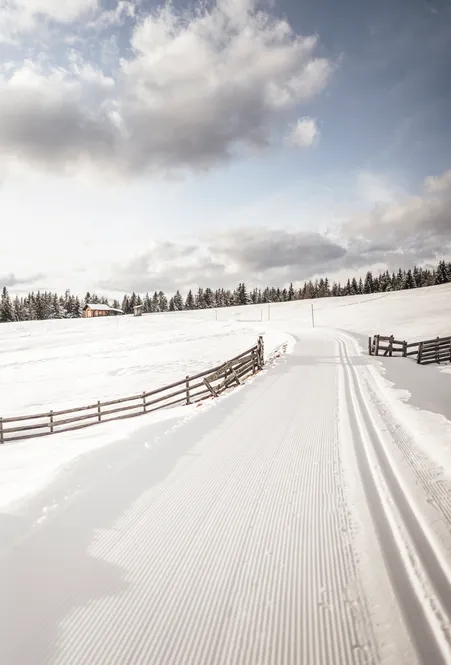 Cross-country ski trail on snow-covered Luson Alp with view of Peitlerkofel in the Odles Dolomites South Tyrol
