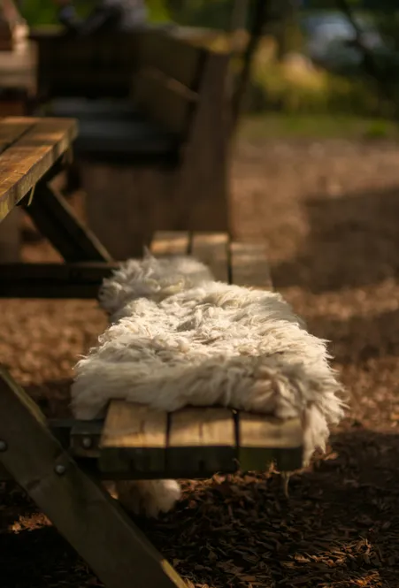 Weißes Schaffell auf einer Holzbank im Freien bei warmem Sonnenlicht auf Rindenmulch-Boden