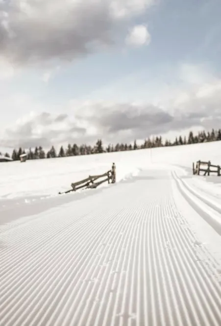 Frisch gespurte Langlaufloipe mit klassischer Spur durch Schneelandschaft an Holzzäunen und Almhütte bei bewölktem Himmel