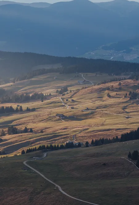 Extensive high alp with autumnal meadows, scattered farms and paths in evening light, view over Luson Alp in South Tyrol