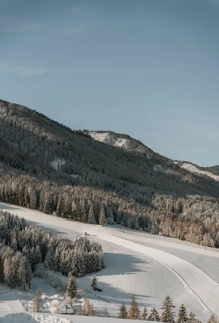 Groomed ski slope winds through snow-covered coniferous forest near Luson on a sunny winter morning with blue sky