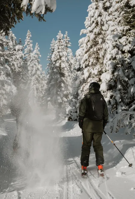 Scialpinista da dietro su sentiero boschivo innevato con neve polverosa da abeti profondamente innevati alla luce del sole a Luson