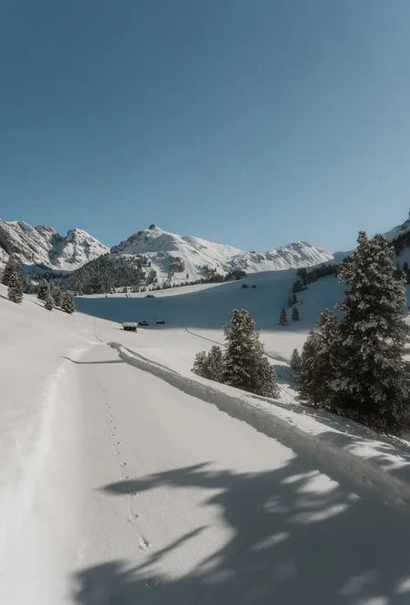 Einsame Schneeschuhspur führt durch unberührten Tiefschnee zu einer Almhütte – strahlend blauer Himmel über den Lüsner Bergen
