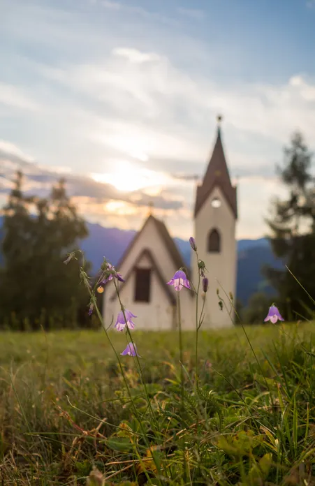 Chiesetta Huber nella frazione Flitt presso Luson con campanule viola sul prato estivo al tramonto