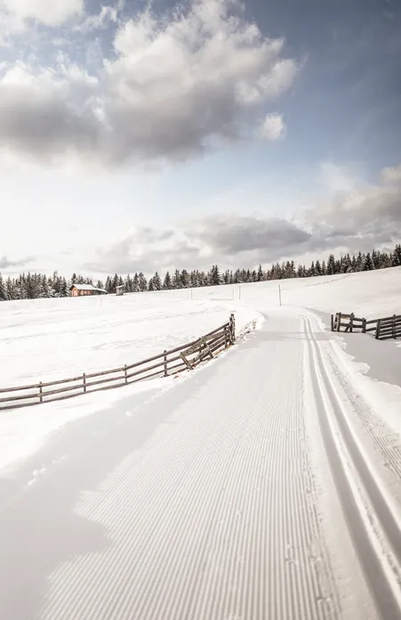 Pista di fondo sull'Alpe di Luson innevata con vista sul Sass de Pütia nelle Odle Dolomiti Alto Adige