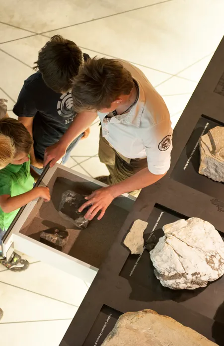 Bambini scoprono con un operatore del parco naturale la collezione di rocce nella casa del Parco Naturale Puez-Odle a Funes