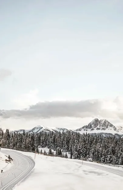 Strada di montagna innevata con curva attraverso bosco di abeti con vista panoramica sulle cime dolomitiche innevate nella luce invernale