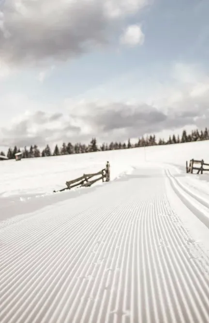 Pista di fondo appena tracciata con traccia classica attraverso paesaggio innevato lungo recinti di legno e baita alpina con cielo nuvoloso