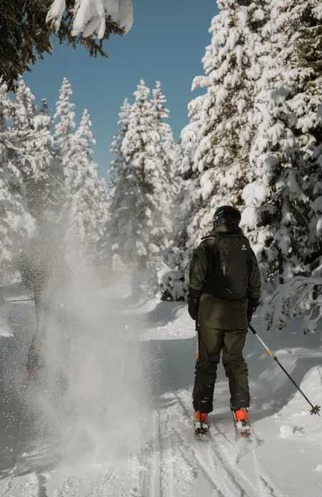 Ski tourer from behind on snow-covered forest path with powder snow from deeply snow-covered firs in sunlight in Luson