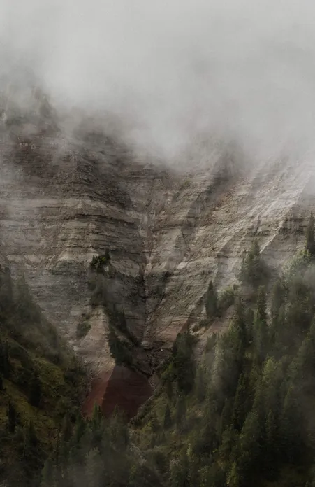 Fog-shrouded dolomite rock face with visible rock layers and conifers in the Villnöß mountains