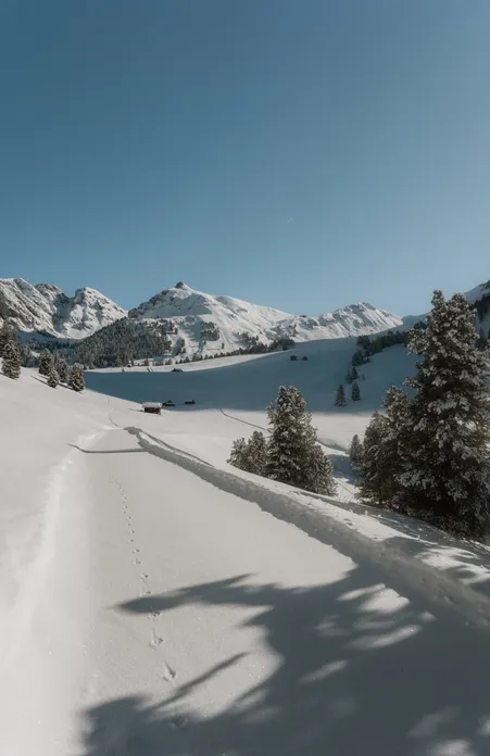 Solitary snowshoe track through untouched deep snow to an alpine hut – brilliant blue sky over the Luson mountains