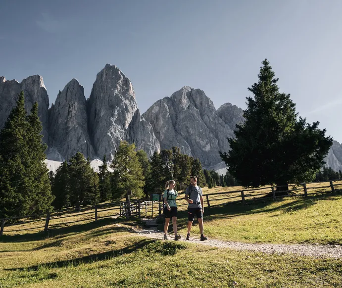 Zwei Wanderer auf einem Almweg unterhalb der Geisler-Gruppe im Villnösser Naturpark Puez-Geisler, Südtiroler Dolomiten